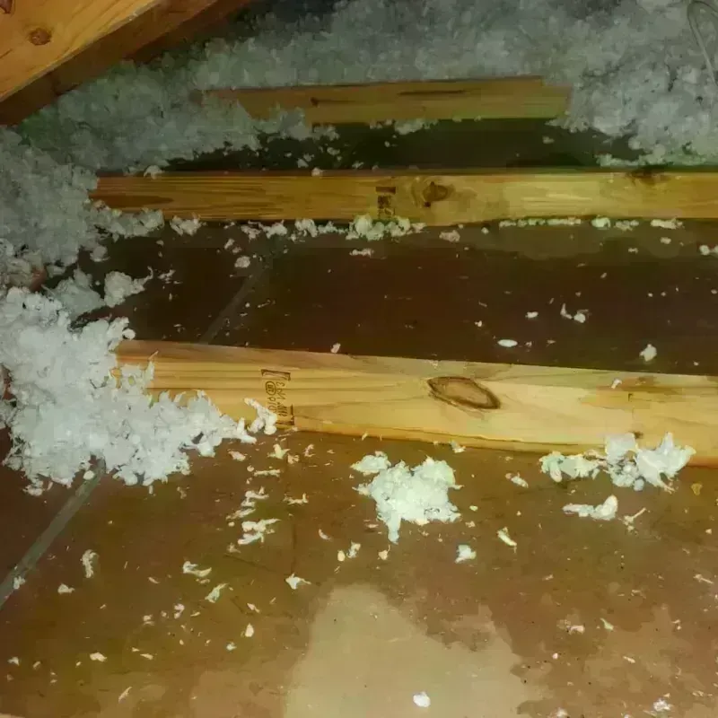 Attic Water Damage in Mapleton, UT